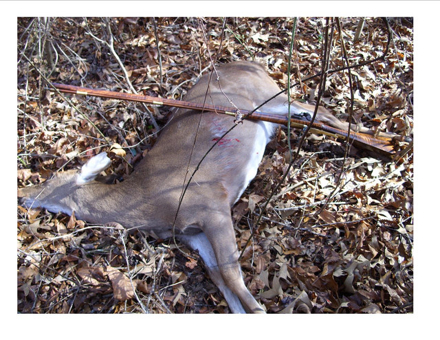 Flintlock doe
