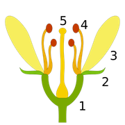 inline002