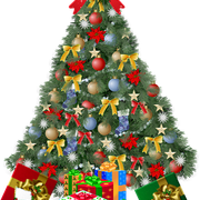 79821272-large-xmastreesandi