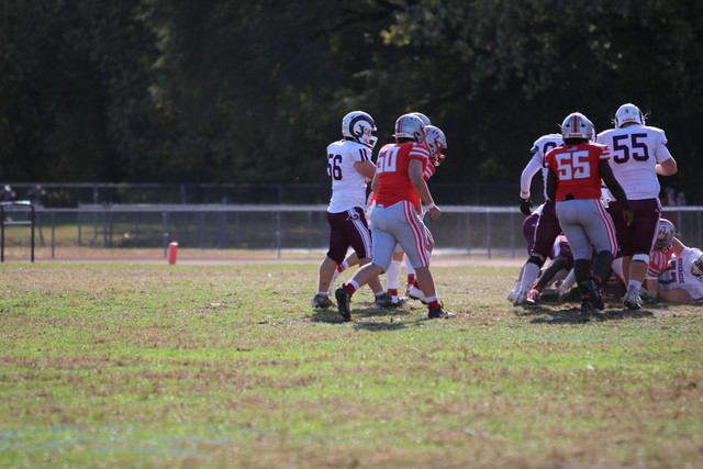 IMG-0567.jpg