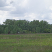 DSC00534