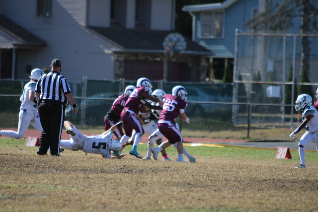 IMG-8401.jpg