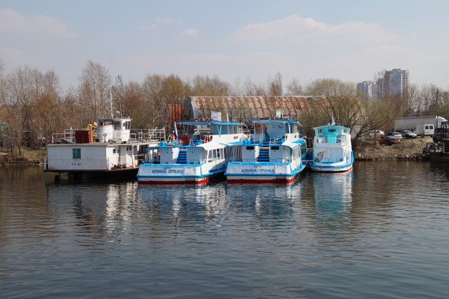 DSC03564.jpg