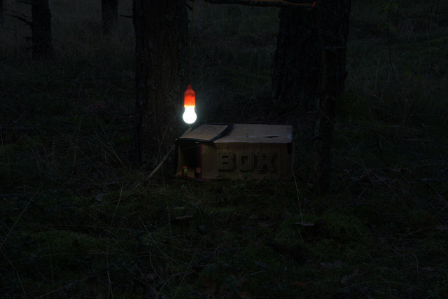 welcome-BOX-7