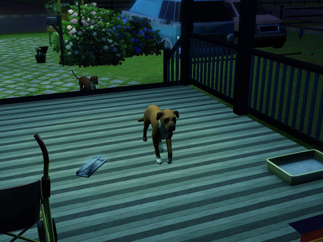 Screenshot-178