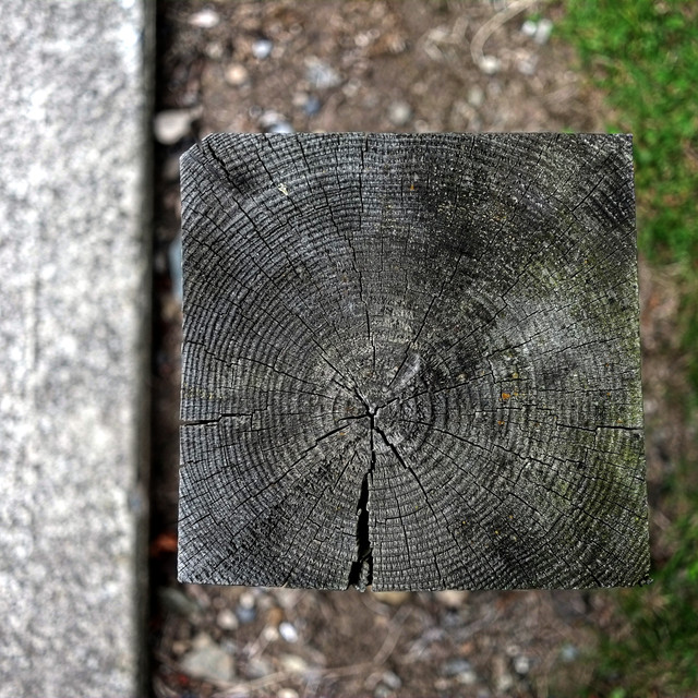 E1SR9614.jpg