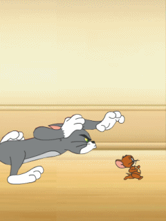 tomjerry-tr2io5zf.gif