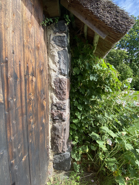 IMG-1524