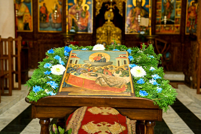 pic-17.jpg
