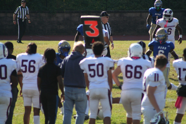 IMG-1146.jpg