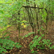 IMG-5906
