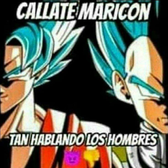 c5bb554603346aa5fc0000762db7ff41