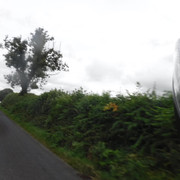 DSCF9142