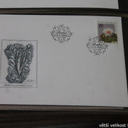 IMG-2713