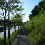 P1340165