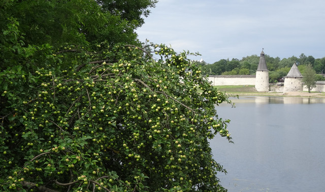 DSC06234-5