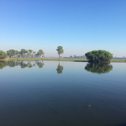 IMG 0985