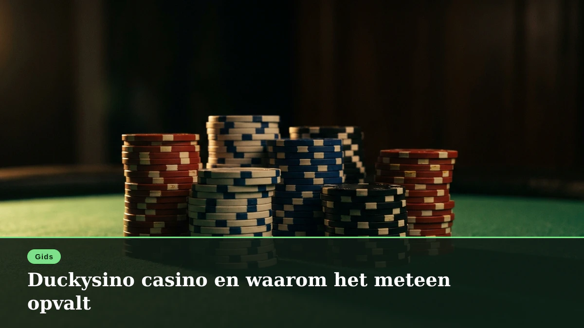 Duckysino casino en waarom het meteen opvalt