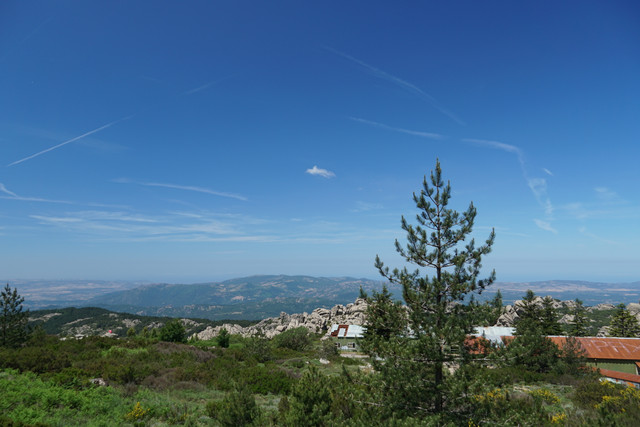 DSC08521.jpg