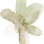 Flower-44