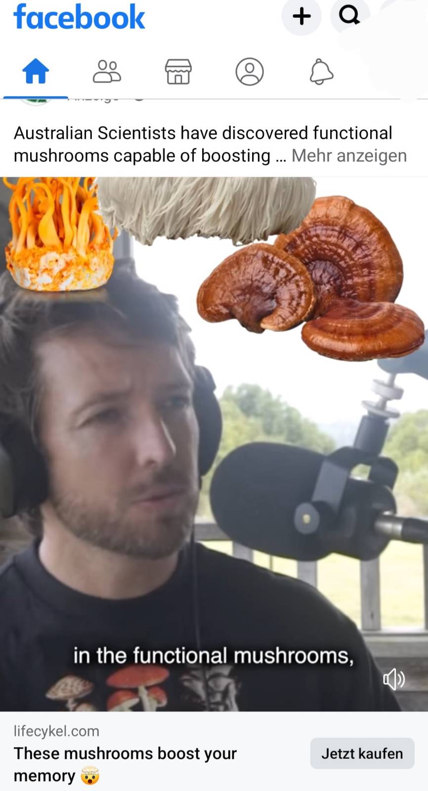 saaffjh.jpg