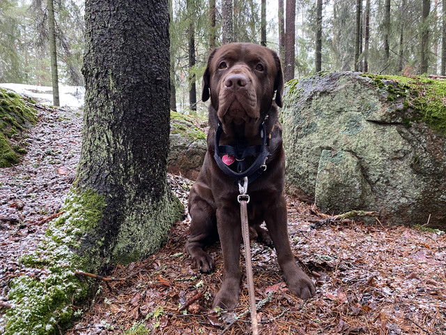 1-A2-F309-A-6-EB5-46-E1-8-BA3-90-FA792-D