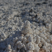 DSCF8505