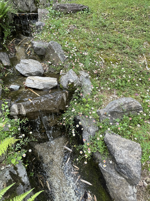 IMG-0693