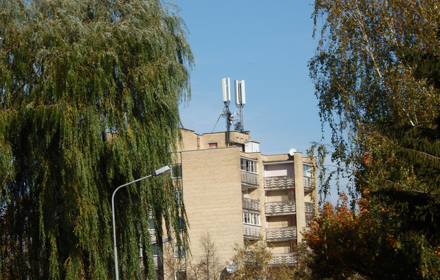 PA040026