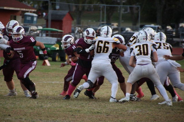 IMG-2133.jpg