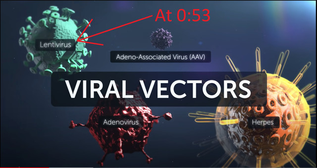 Lentivirus-Example-1