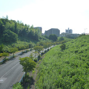 P1340819