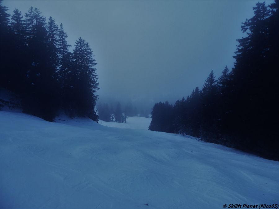 IMG-3107.jpg