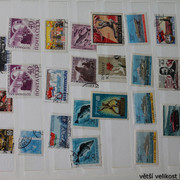 IMG-3017