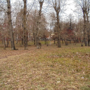 DSC08908
