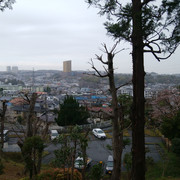 DSC-0032