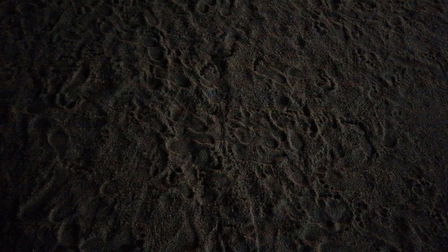 IMAG0373