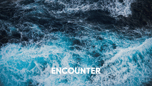 encounter