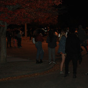 IMG-8361