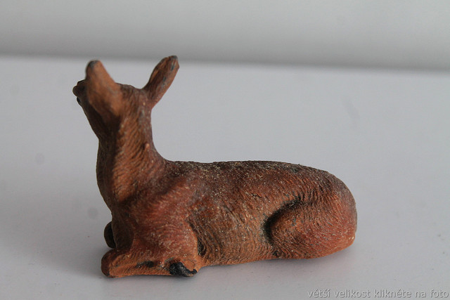 IMG-6636