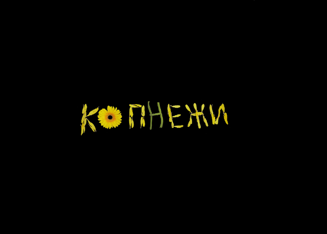 kopnezi-spotify
