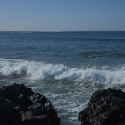DSCF8390