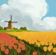 tulips