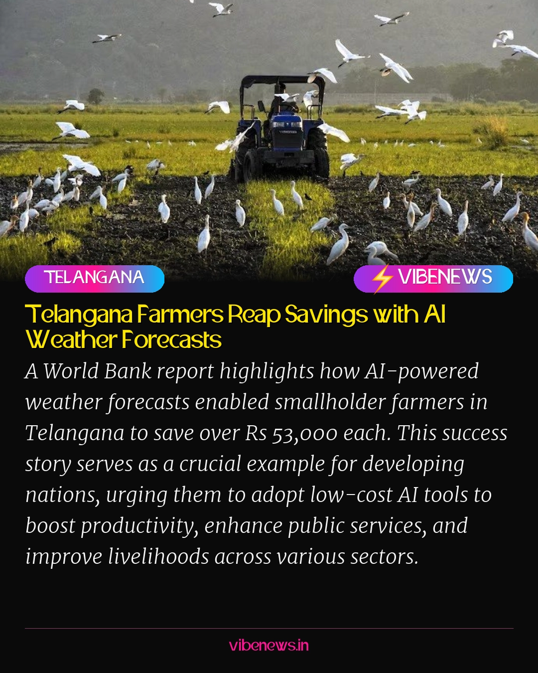 Telangana Farmers Reap Savings with AI Weather Forecasts