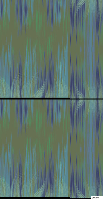 C56295 PP.jpg