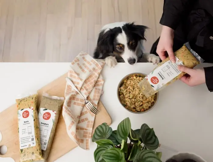 Decoding Pet Food: Understanding What’s On The Label