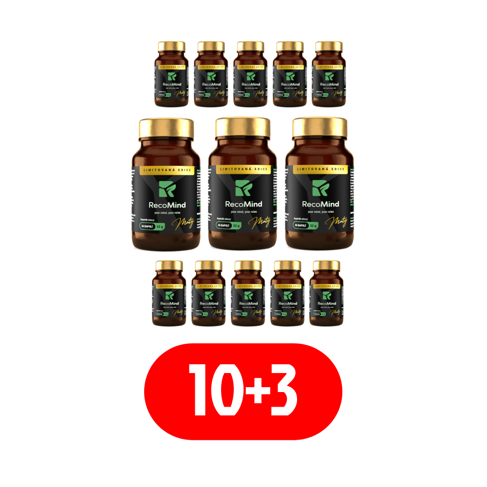 RecoMind 10&nbsp;+&nbsp;3 zdarma