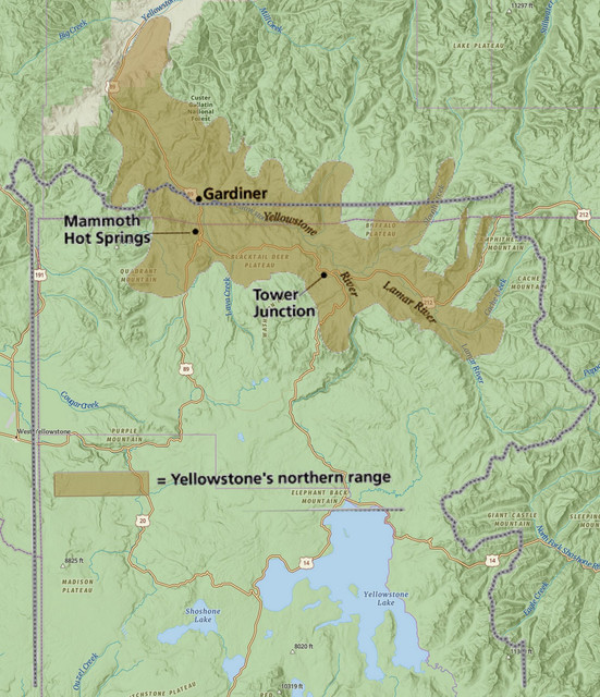 Northern-Range-Yellowstone