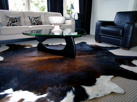 cow1