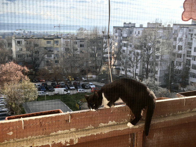 IMG 20260331 174800.jpg